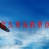 宁波有什么好玩的景点一日游