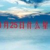 11月25日什么星座(07/05更新)