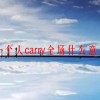一个人carry全场什么意思