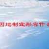 因地制宜形容什么(07/05更新)